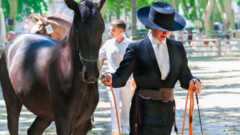 Międzynarodowe zawody jeździeckie po raz pierwszy w Świnoujściu