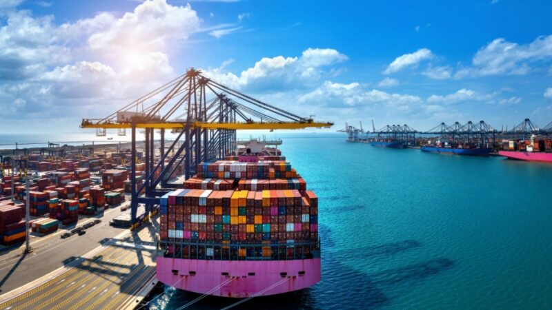 Zaplanowana rozbudowa portu kontenerowego w Świnoujściu budzi kontrowersje