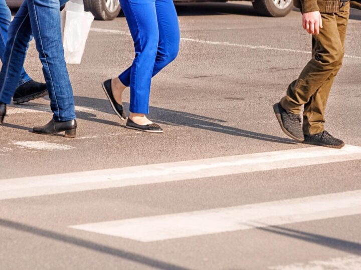 Dziki i sarny na ulicach Świnoujścia – mieszkańcy w obliczu niebezpieczeństwa!