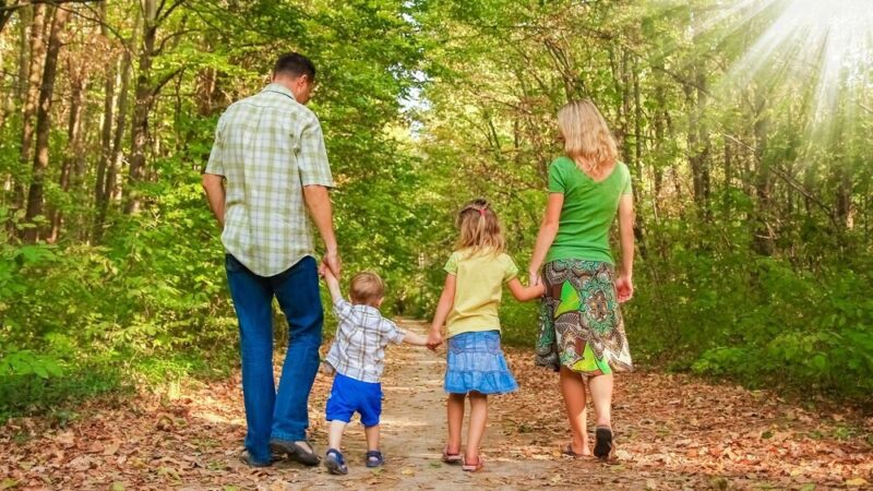 Konkurs na prowadzenie punktu wsparcia dla rodzin z dziećmi z niepełnosprawnościami w Świnoujściu