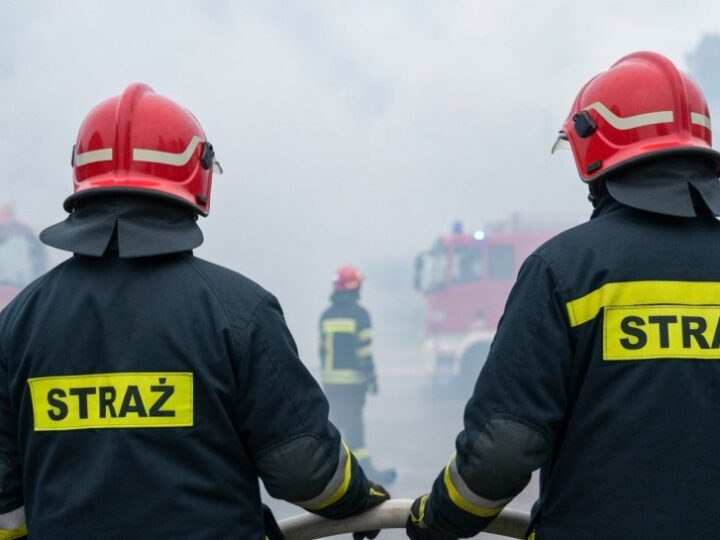 Jak skutecznie zapobiegać pożarom traw i lasów?