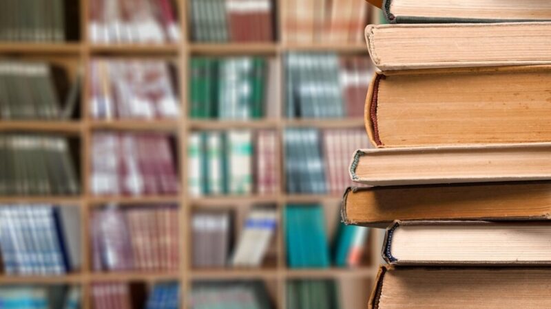 Odkryj fascynujący świat ptaków na EFKA Festiwalu w Bibliotece!