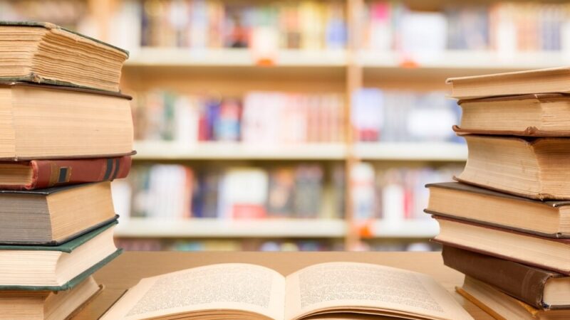 Magiczna podróż do Nibylandii: Piotruś Pan i przyjaciele w bibliotece